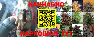 стаф Балаково