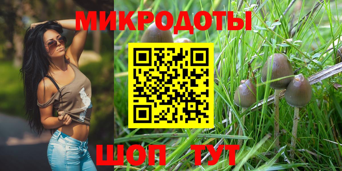 Димитровград  Псилоцибиновые грибы прущие грибы  Вход с VPN  Псилоцибиновые грибы Magic Shrooms 