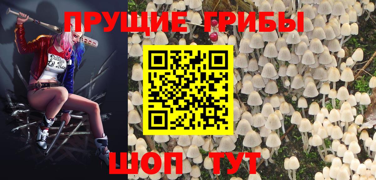 где купить наркоту  Димитровград  Псилоцибиновые грибы Psilocybine cubensis  Галлюциногенные грибы Cubensis 