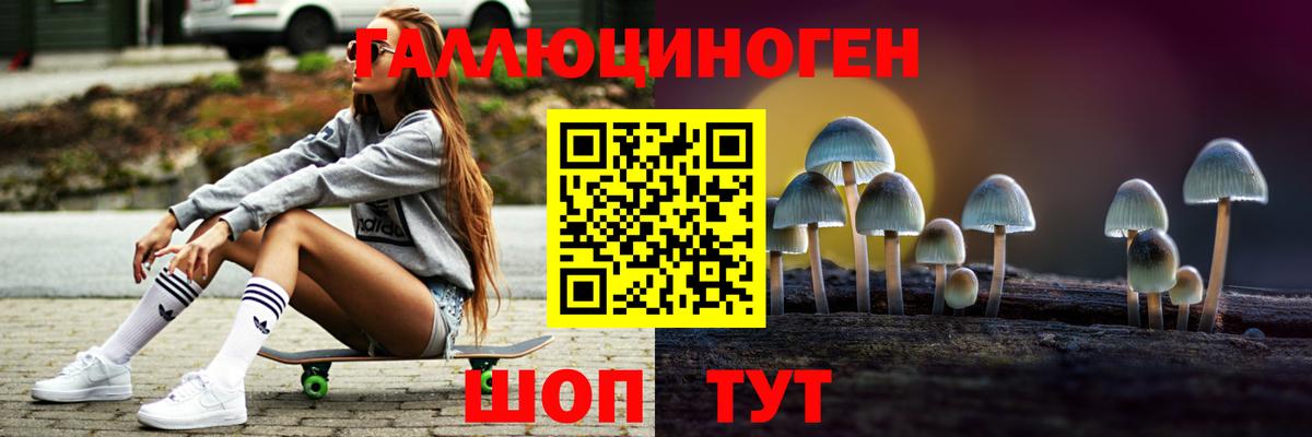 Галлюциногенные грибы Magic Shrooms Димитровград