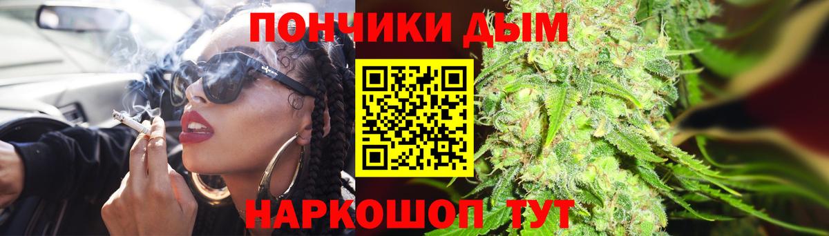 МАРИХУАНА планчик  Канабис индика  Димитровград 